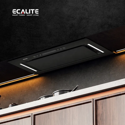 Máy hút mùi âm tủ dạng Hidden Ecalite EHB-700LUX - 1