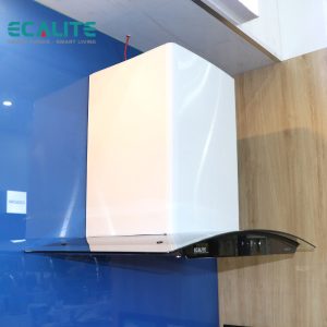 Máy hút mùi áp tường Ecalite EHD-700VB