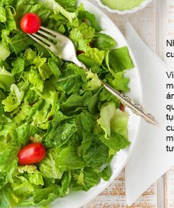 Tủ lạnh Inverter 414 lít Mitsubishi Electric MR-V50ER-BRW-V - 33