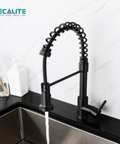 Vòi rửa chén nóng lạnh Ecalite EF-K102B