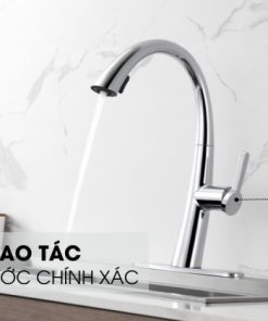 Vòi rửa chén nóng lạnh Ecalite EF-K114C