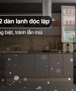 Tủ Lạnh Hitachi Inverter 520 Lít R-HW540RV XK - 31