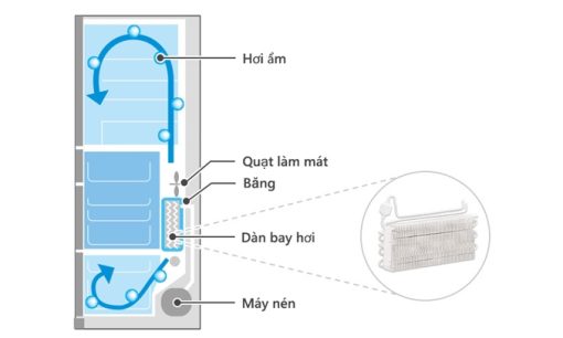 Tủ Lạnh Hitachi Inverter 615 Lít R-WX620KV XK - 17