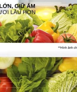 Tủ lạnh Inverter 635 lít Mitsubishi Electric MR-LA78ER-GBK-V - 31