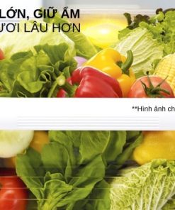 Tủ lạnh Inverter 635 lít Mitsubishi Electric MR-LA78ER-GSL-V - 22 Tủ lạnh Inverter 635 lít Mitsubishi Electric MR-LA78ER-GSL-V - 21