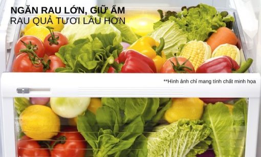 Tủ lạnh Inverter 635 lít Mitsubishi Electric MR-LA78ER-GSL-V - 7