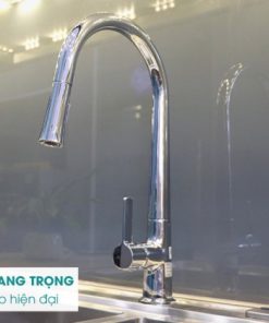 Vòi rửa chén nóng lạnh Ecalite EF-H009C