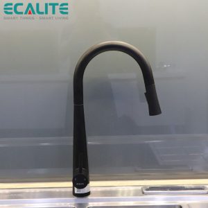 Vòi rửa chén nóng lạnh Ecalite EF-K149B