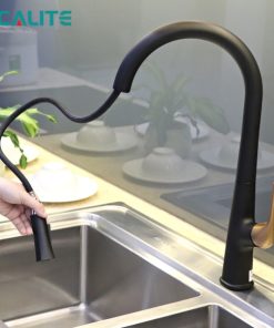 Vòi rửa chén nóng lạnh Ecalite EF-K569BR