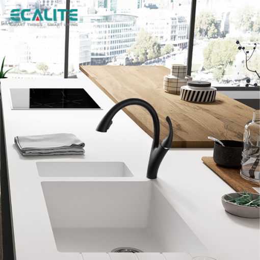 Vòi rửa chén nóng lạnh Ecalite EF-K624B - 6
