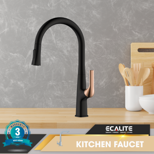 Vòi rửa chén nóng lạnh Ecalite EF-K569BR - 1