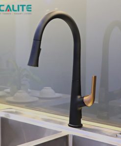 Vòi rửa chén nóng lạnh Ecalite EF-K569BR - 16