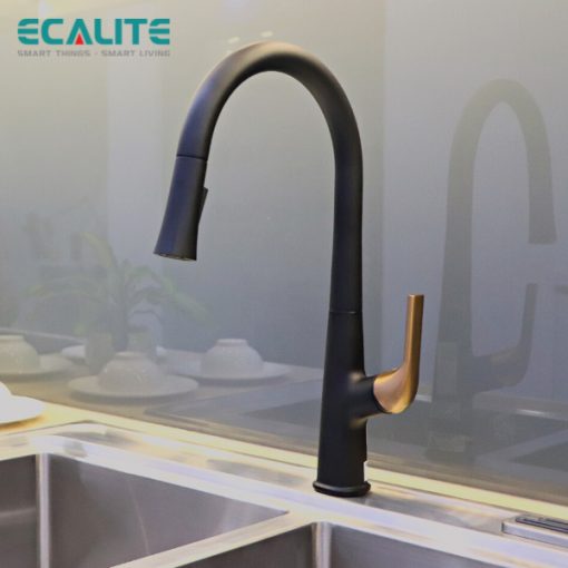 Vòi rửa chén nóng lạnh Ecalite EF-K569BR - 8