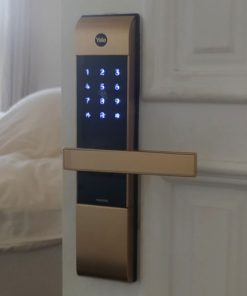 Khóa điện tử Yale YDM3109A GOLD - 17