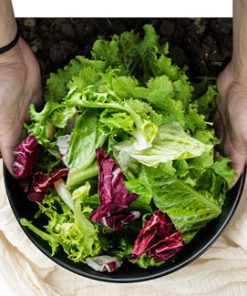 Tủ lạnh Inverter 530 lít LG LFB53BLMI AEPPEVN - 30 Tủ lạnh Inverter 530 lít LG LFB53BLMI AEPPEVN - 29