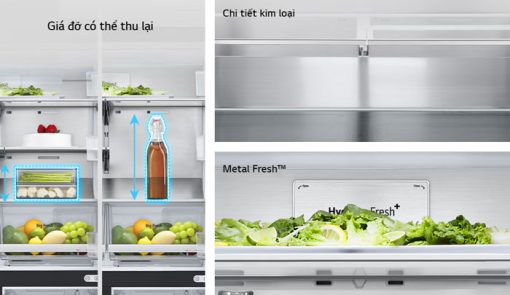 Tủ lạnh Inverter 530 lít LG LFB53BLMI AEPPEVN - 11