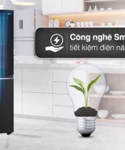 Tủ lạnh LG GR-X257BL ALBPEVN - 49