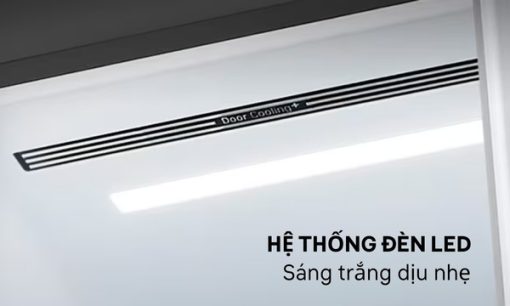Tủ lạnh LG GR-X257BG AEPPEVN - 9