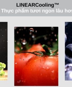 Tủ lạnh LG GR-X257BG AEPPEVN - 43