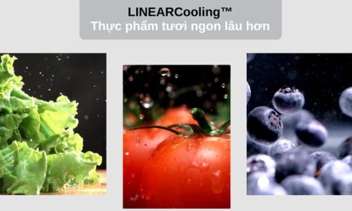 Tủ lạnh LG GR-X257BG AEPPEVN - 19
