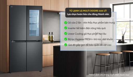 Tủ lạnh LG Inverter 666 lít LFB66BLMI AEVPEVN - 15