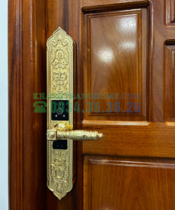 Khóa cửa đại sảnh Demax SL9862 Gold tiêu chuẩn Đức - 58 Khóa cửa đại sảnh Demax SL9862 Gold tiêu chuẩn Đức - 57