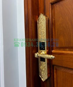 Khóa cửa đại sảnh Demax SL9862 Gold tiêu chuẩn Đức - 60 Khóa cửa đại sảnh Demax SL9862 Gold tiêu chuẩn Đức - 59