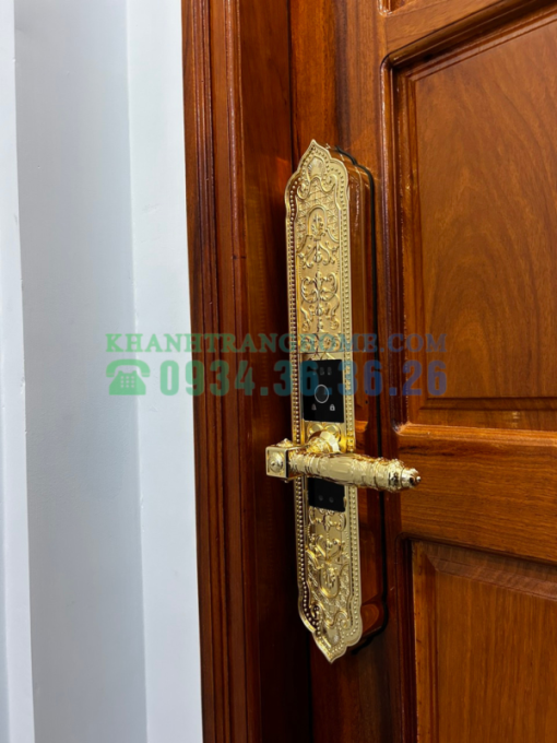 Khóa cửa đại sảnh Demax SL9862 Gold tiêu chuẩn Đức - 29