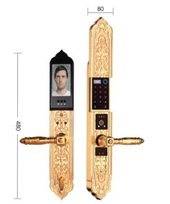 Khóa cửa đại sảnh Demax SL9862 Gold tiêu chuẩn Đức - 34 Khóa cửa đại sảnh Demax SL9862 Gold tiêu chuẩn Đức - 33