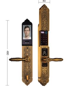 Khóa cửa đại sảnh Demax SL9862 GB tiêu chuẩn Đức - 9