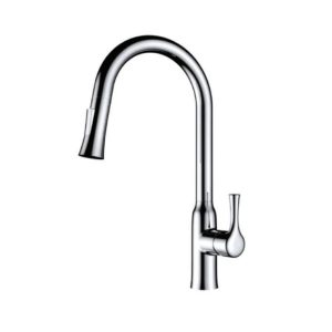 Vòi rửa bát Paul Schmitt PA302K