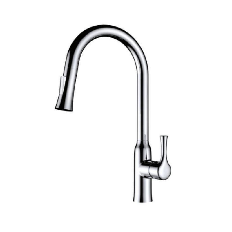 Vòi rửa bát Paul Schmitt PA302K - 1 Vòi rửa bát Paul Schmitt PA302K