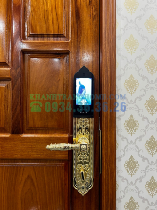 Khóa cửa đại sảnh Demax SL9862 Gold tiêu chuẩn Đức - 9
