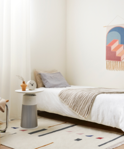 Máy lọc không khí LG AS20GPWU0.ABAE - 29