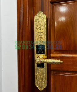 Khóa cửa đại sảnh Demax SL9862 Gold tiêu chuẩn Đức - 50 Khóa cửa đại sảnh Demax SL9862 Gold tiêu chuẩn Đức - 49