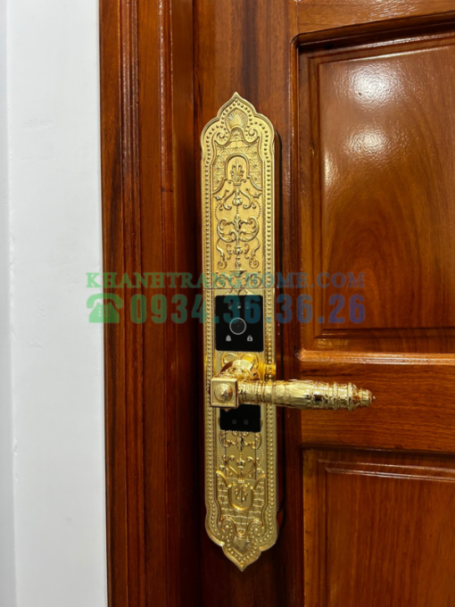 Khóa cửa đại sảnh Demax SL9862 Gold tiêu chuẩn Đức - 19