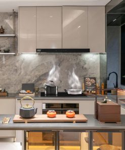 Máy hút mùi Lorca TA-3005H-70cm - 21