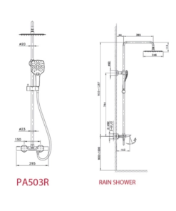 Sen cây Paul Schmitt PA503R