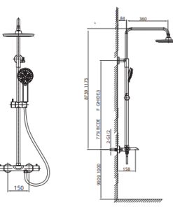 Sen cây Paul Schmitt PA508R