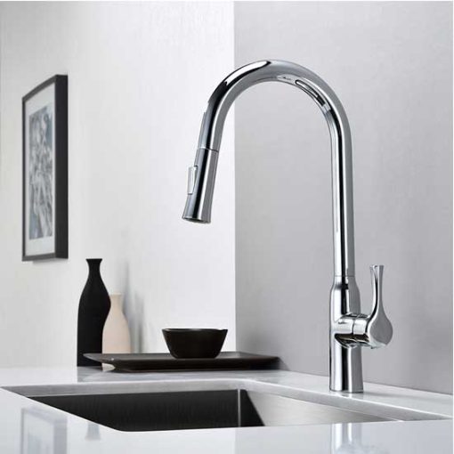 Vòi rửa bát Paul Schmitt PA302K