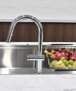 Vòi rửa bát Paul Schmitt PA312K