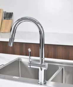 Vòi rửa bát Paul Schmitt PA312K