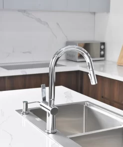 Vòi rửa bát Paul Schmitt PA312K