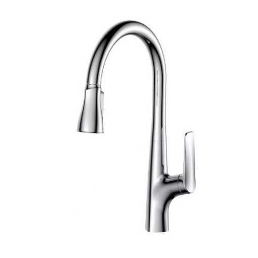 Vòi rửa bát Paul Schmitt PA318K