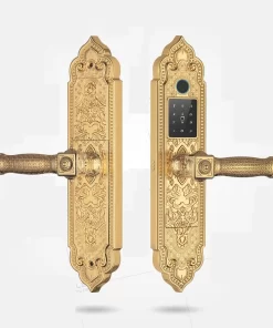 Khóa điện tử KASSLER KL 919 PRO GOLD