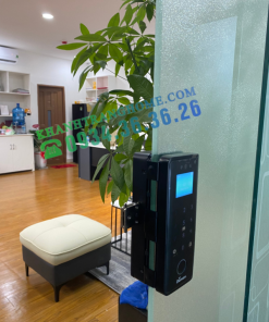 Khóa vân tay cửa kính Demax SL900 G-SD tiêu chuẩn Đức - 61