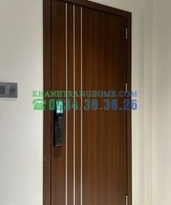 Khóa thông minh DEMAX SL919 MG tiêu chuẩn Đức - 63