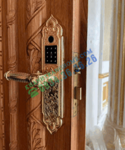 Khóa điện tử KASSLER KL 919 PRO GOLD