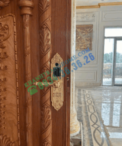 Khóa điện tử KASSLER KL 919 PRO GOLD