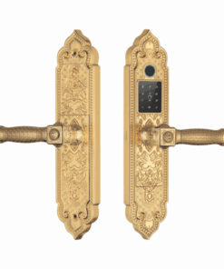 Khóa điện tử KASSLER KL 919 PRO GOLD